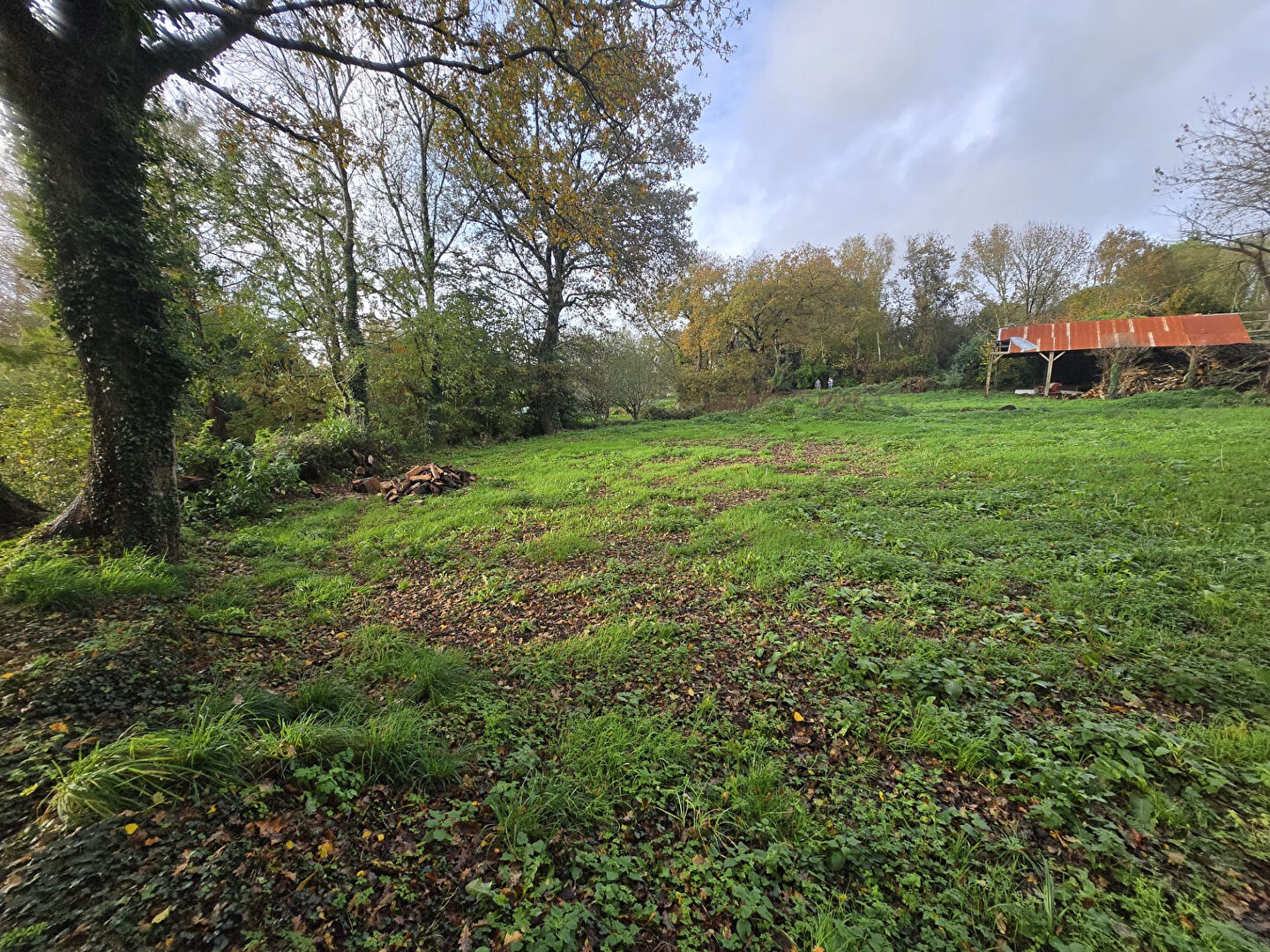 Terrain Baye 1290 m2