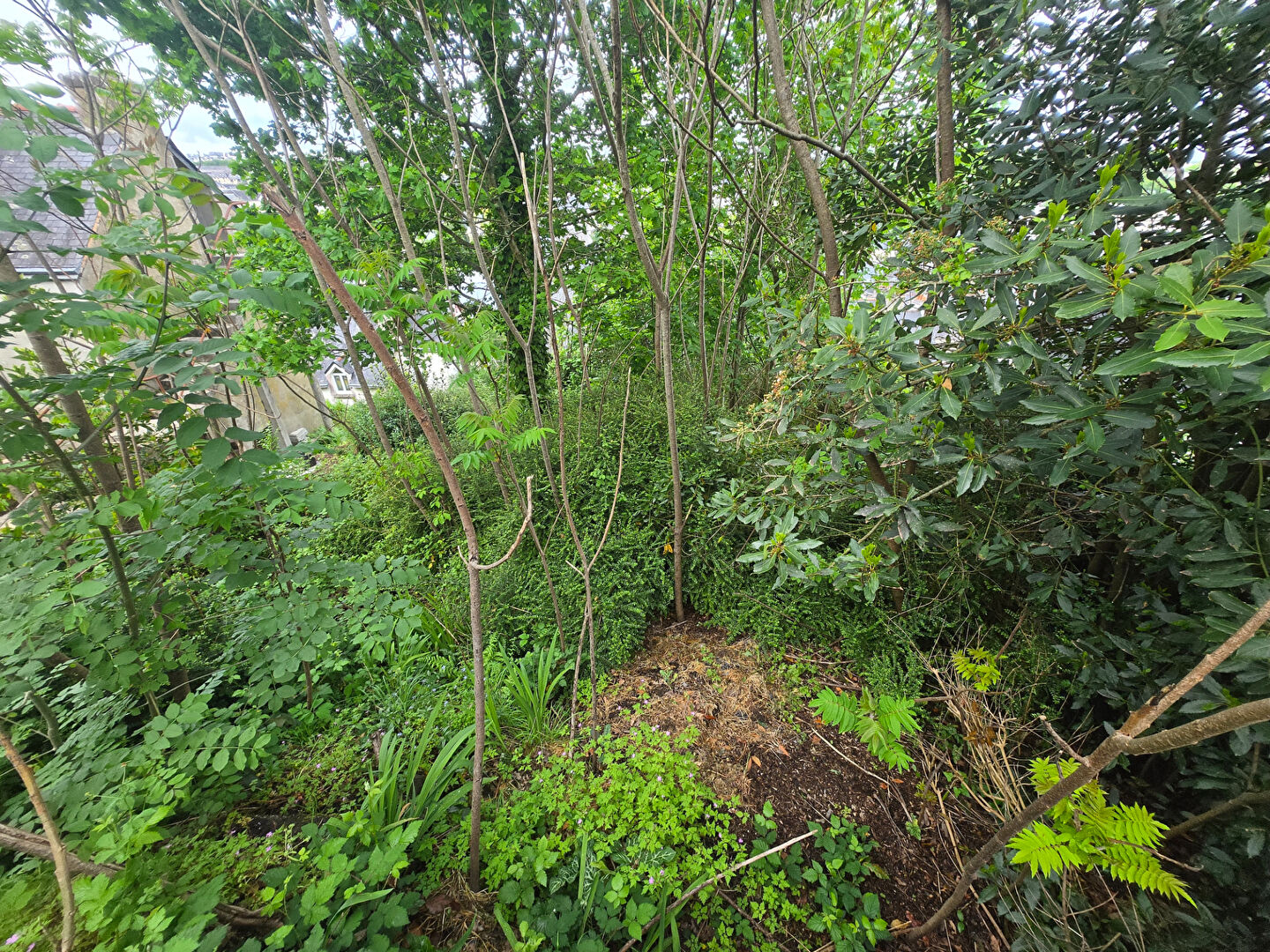 terrain à vendre à quimpe · à Quimper · 18 000 €